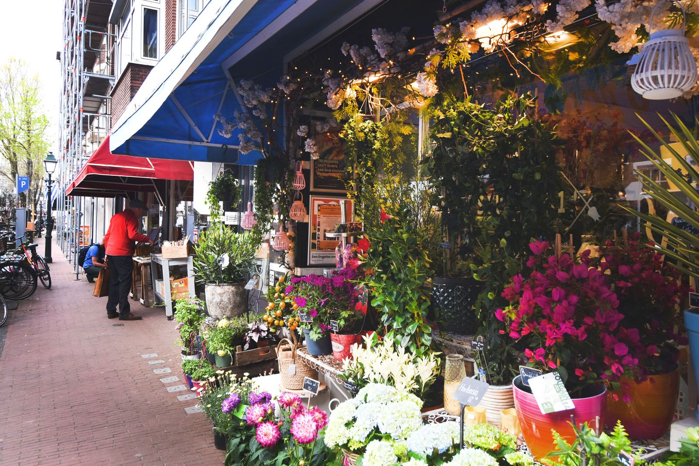 Foto 44 van Obrechtstraat 424