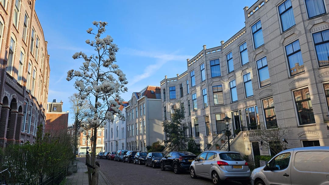 Foto 47 van Obrechtstraat 424