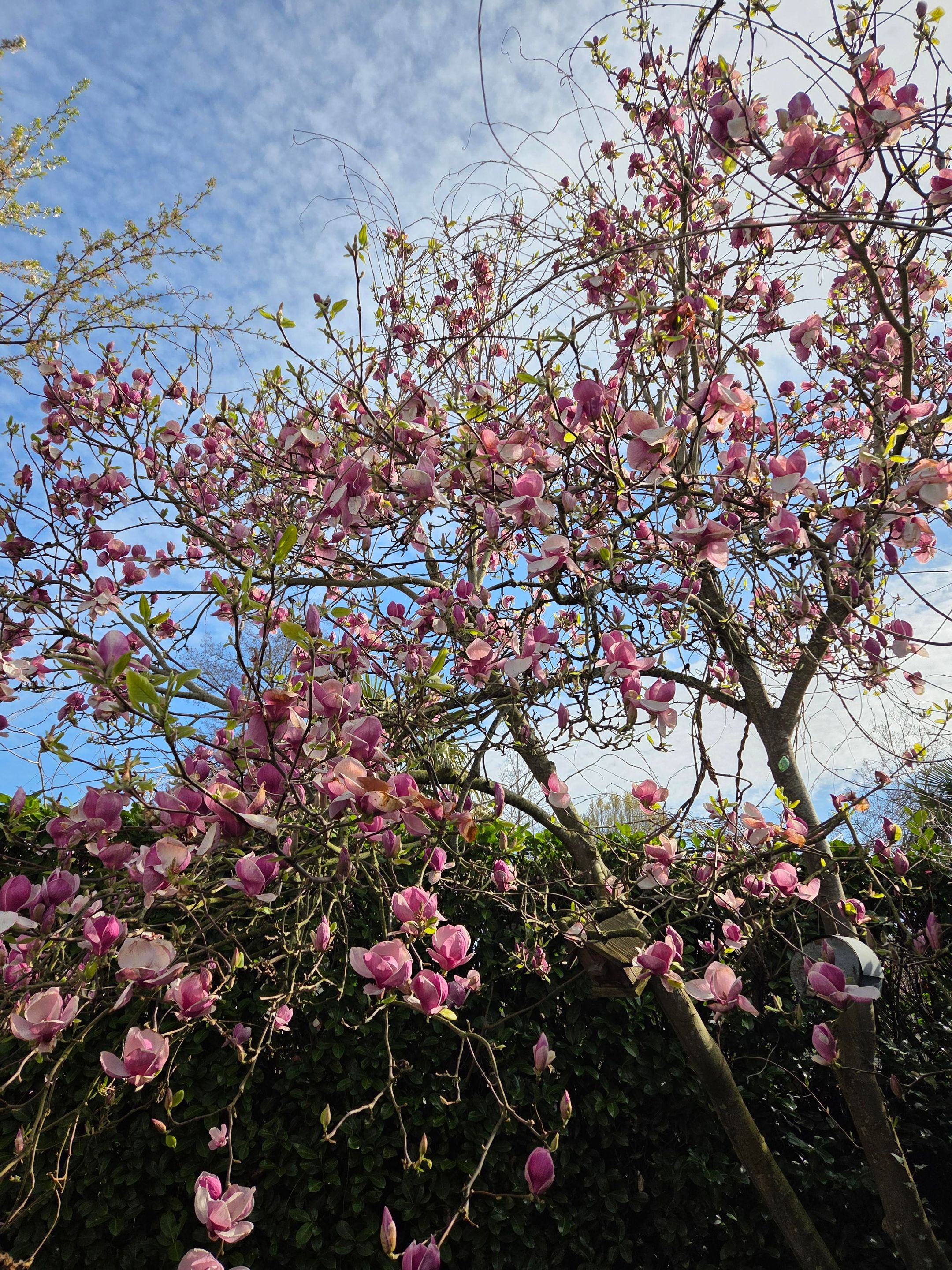 Foto 6 van Molenbergstraat 44