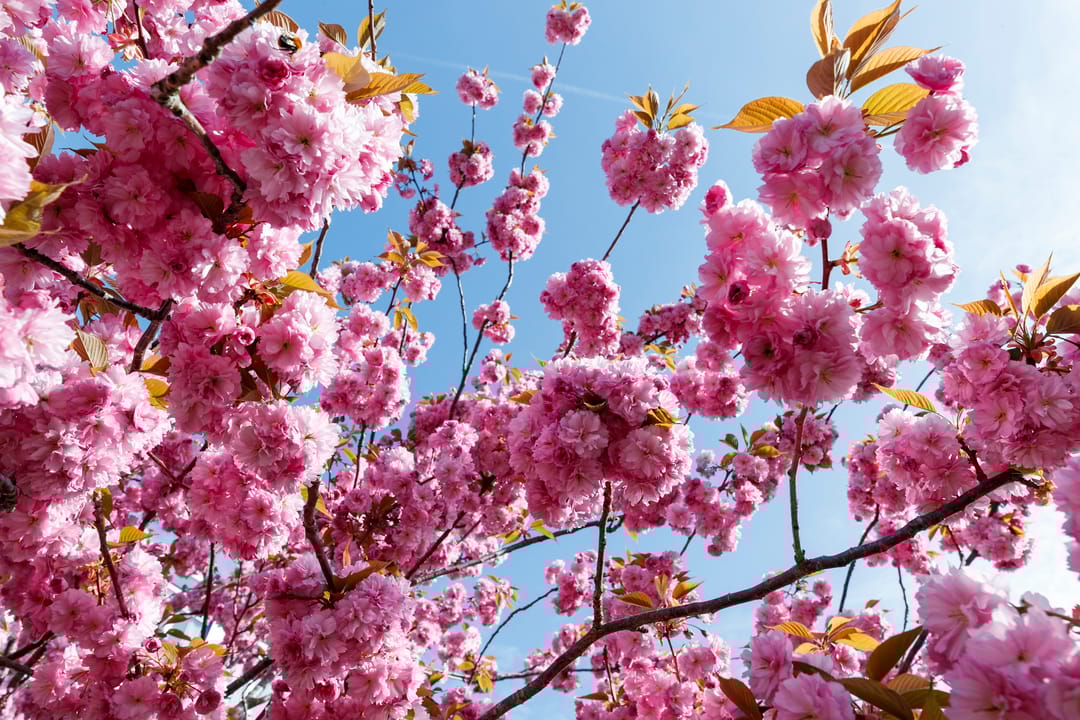 Foto 26 van Telderslaan 20