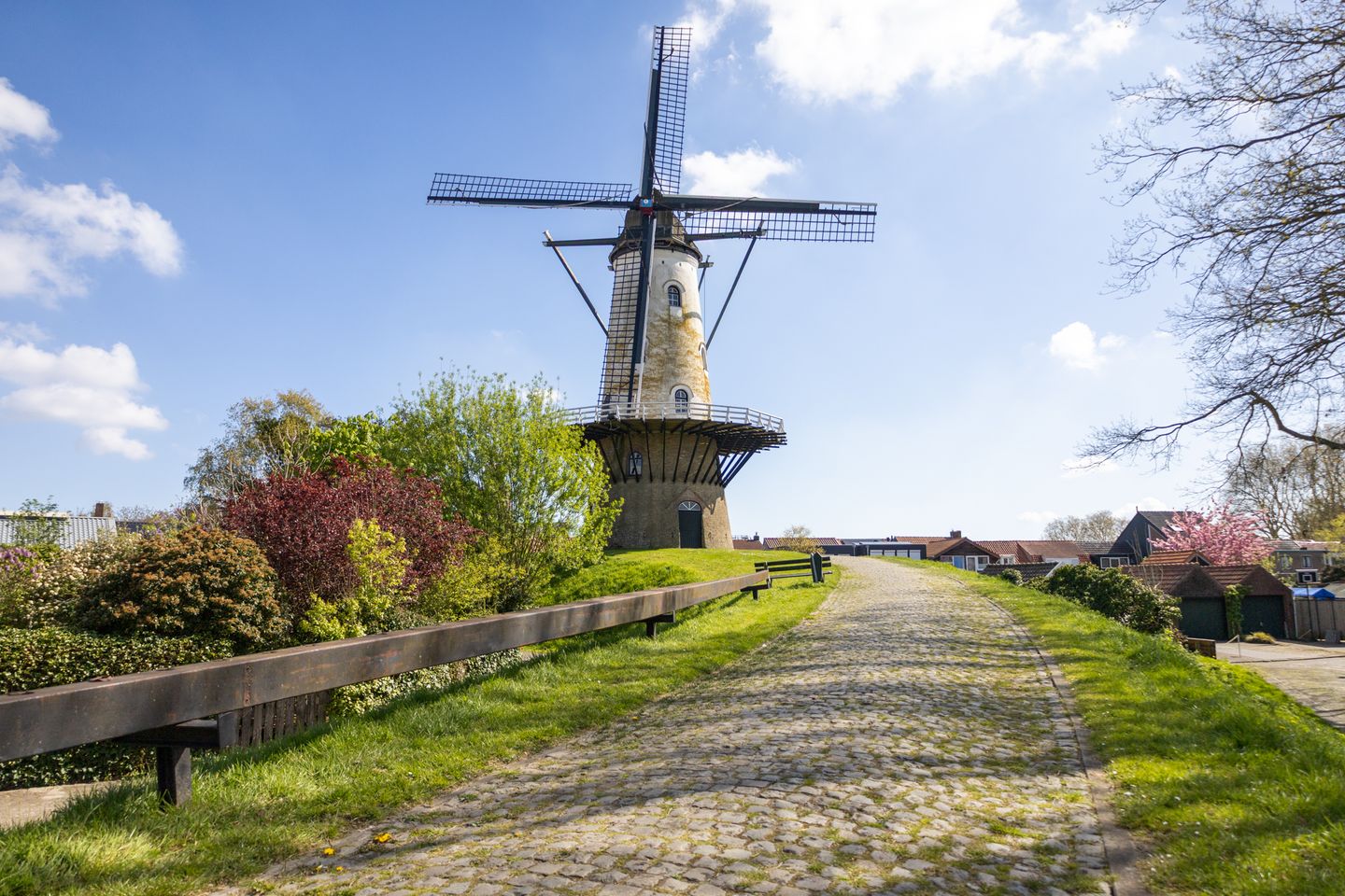 Photo 29 of Rozemarijnstraat 24