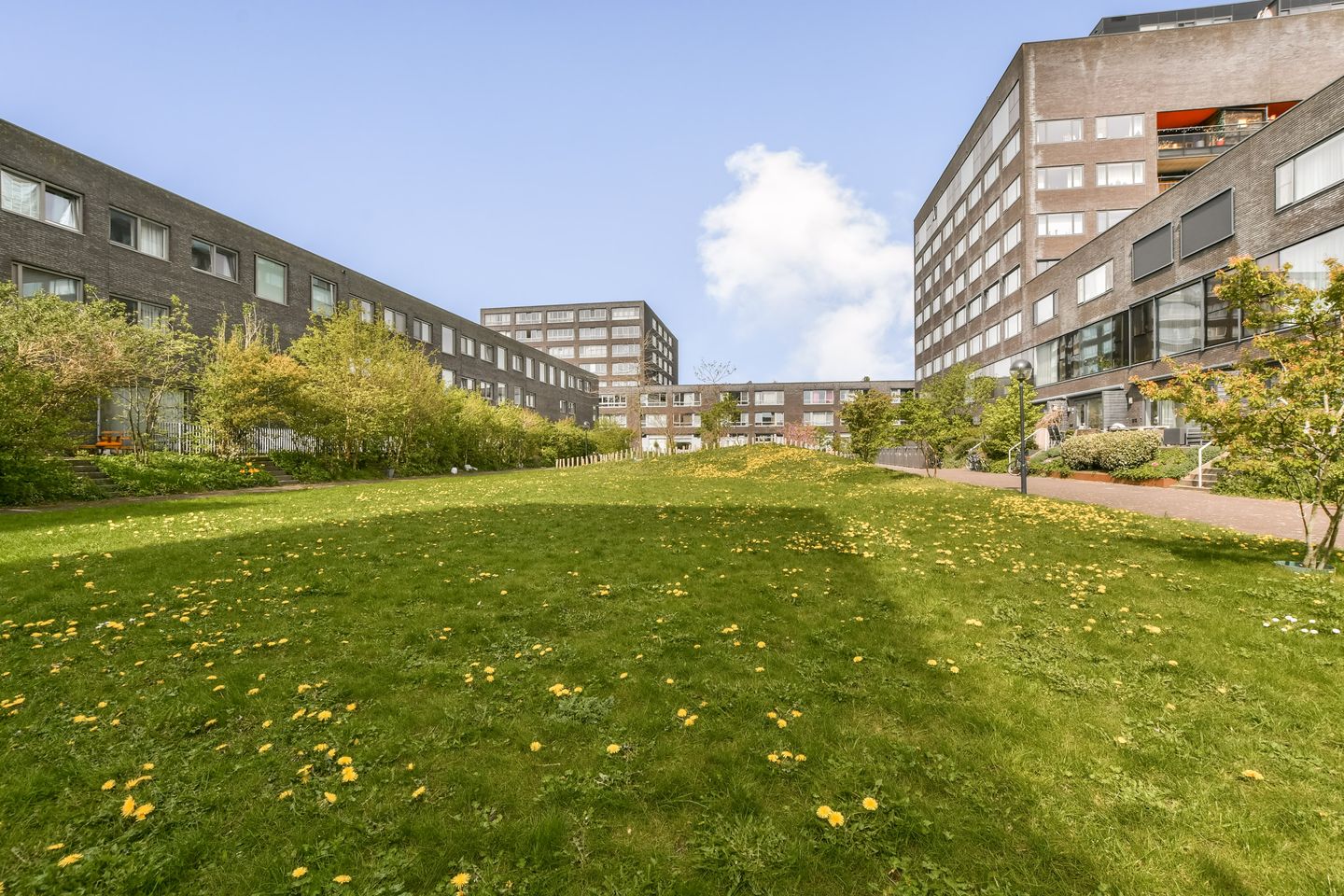 Foto 29 van Maria Austriastraat 634