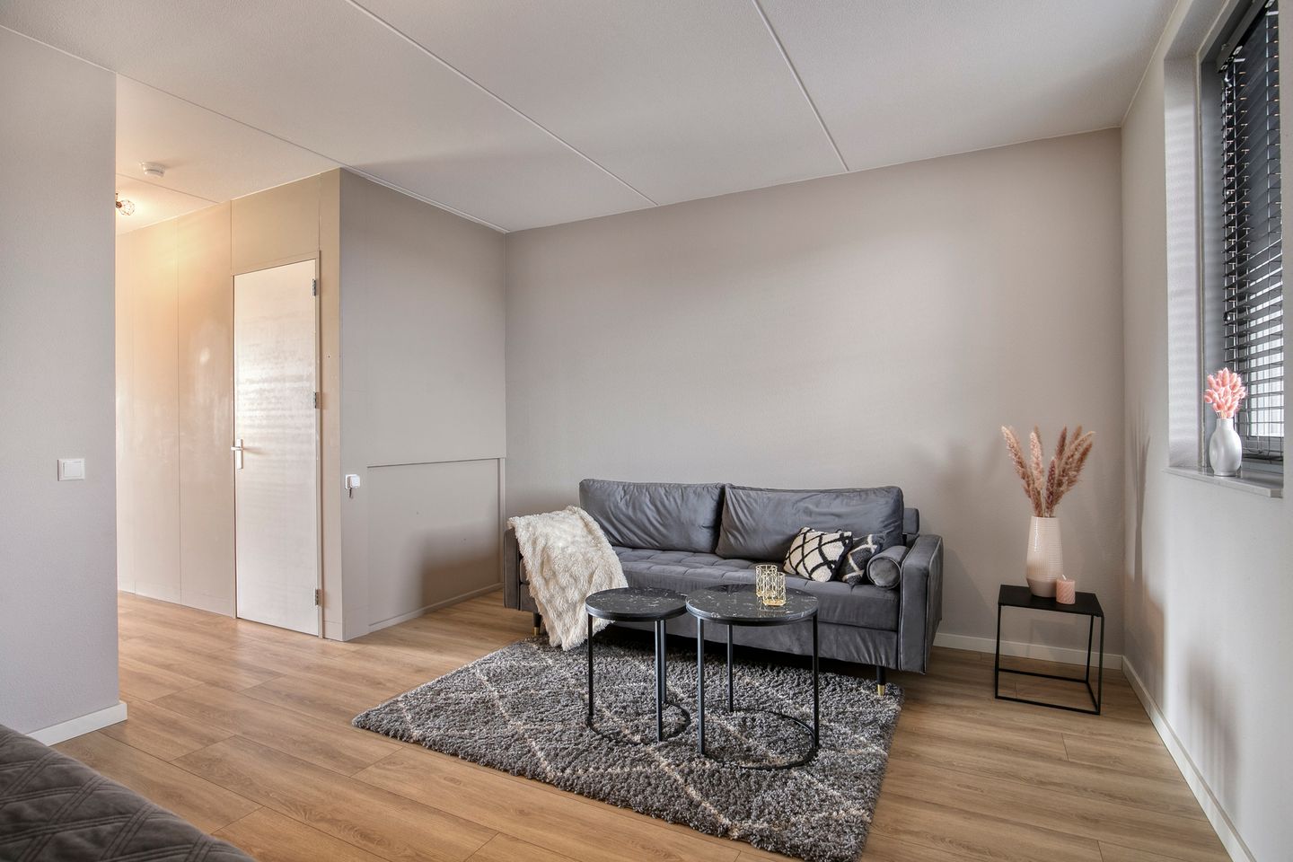 Photo 25 of Cambara 11