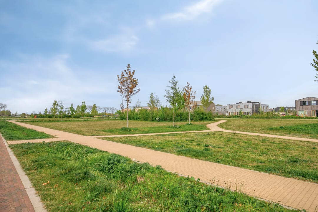 Photo 41 of Cambara 11