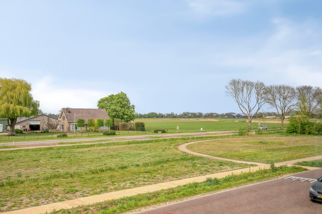 Photo 17 of Cambara 11