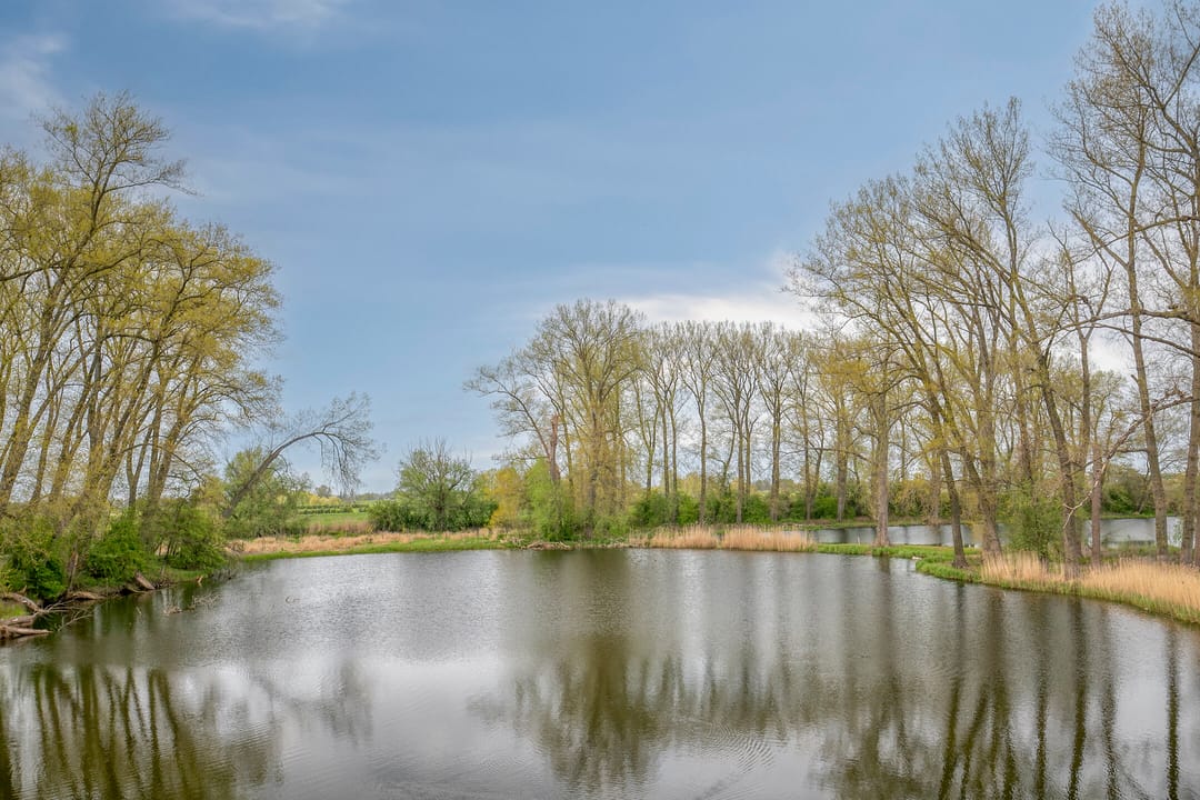 Photo 43 of Cambara 11