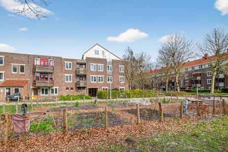 Vianenstraat thumbnail