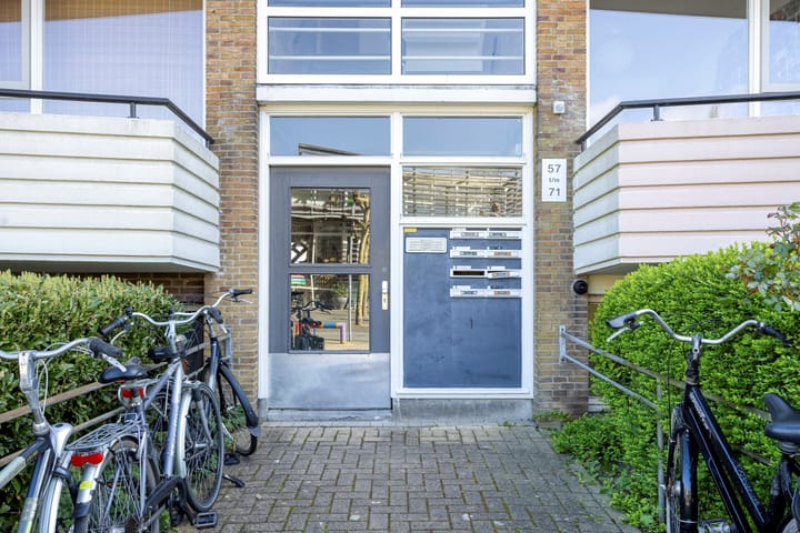 Photo 4 of Adriaan van Ostadestraat 65
