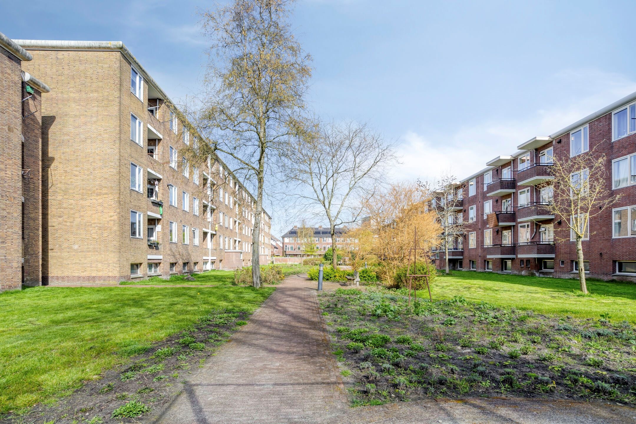 Photo 33 of Adriaan van Ostadestraat 65