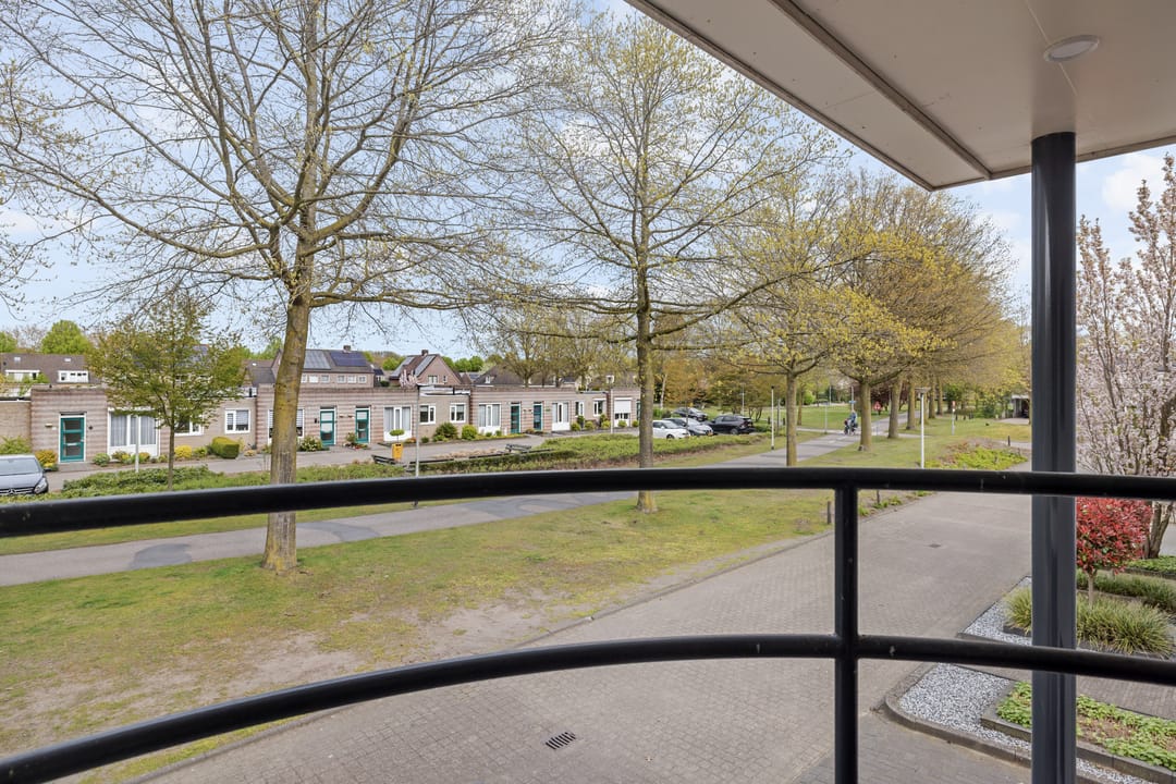 Photo 28 of Drecht 11