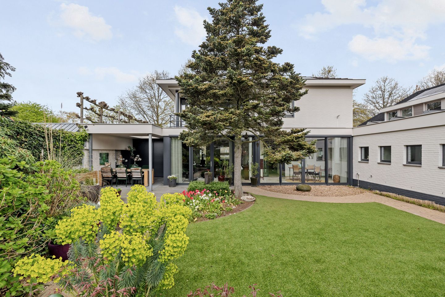 Photo 34 of Drecht 11