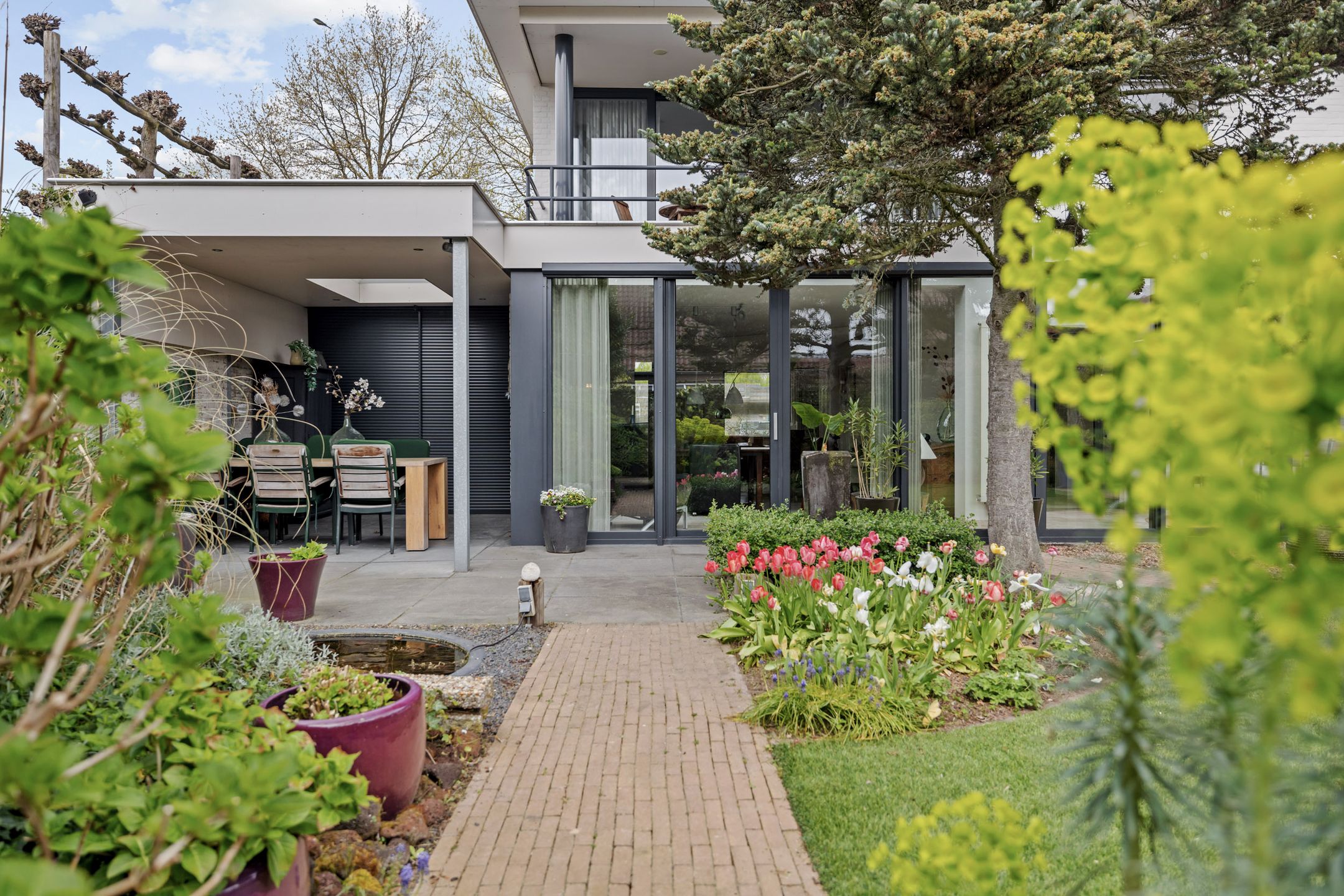 Photo 36 of Drecht 11