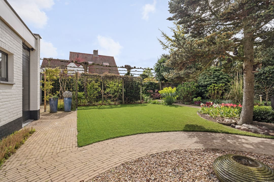 Photo 37 of Drecht 11