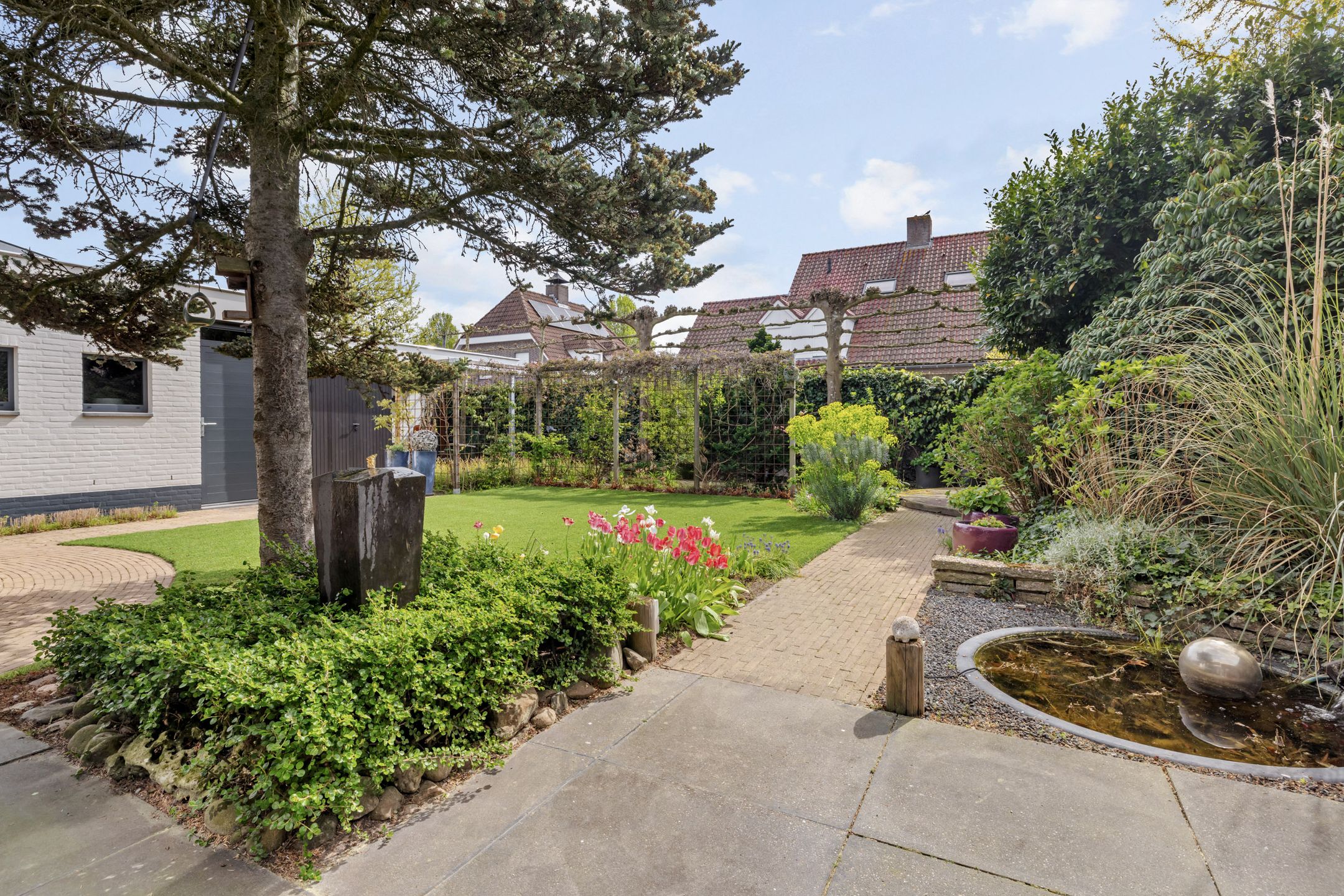 Photo 39 of Drecht 11