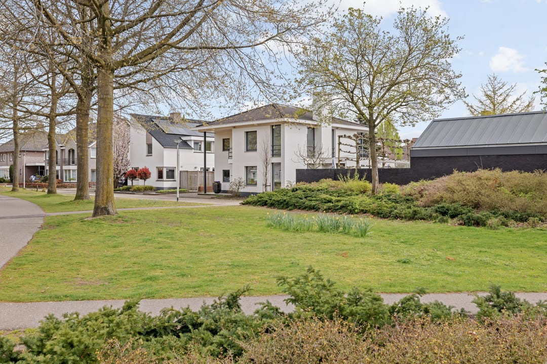 Photo 41 of Drecht 11