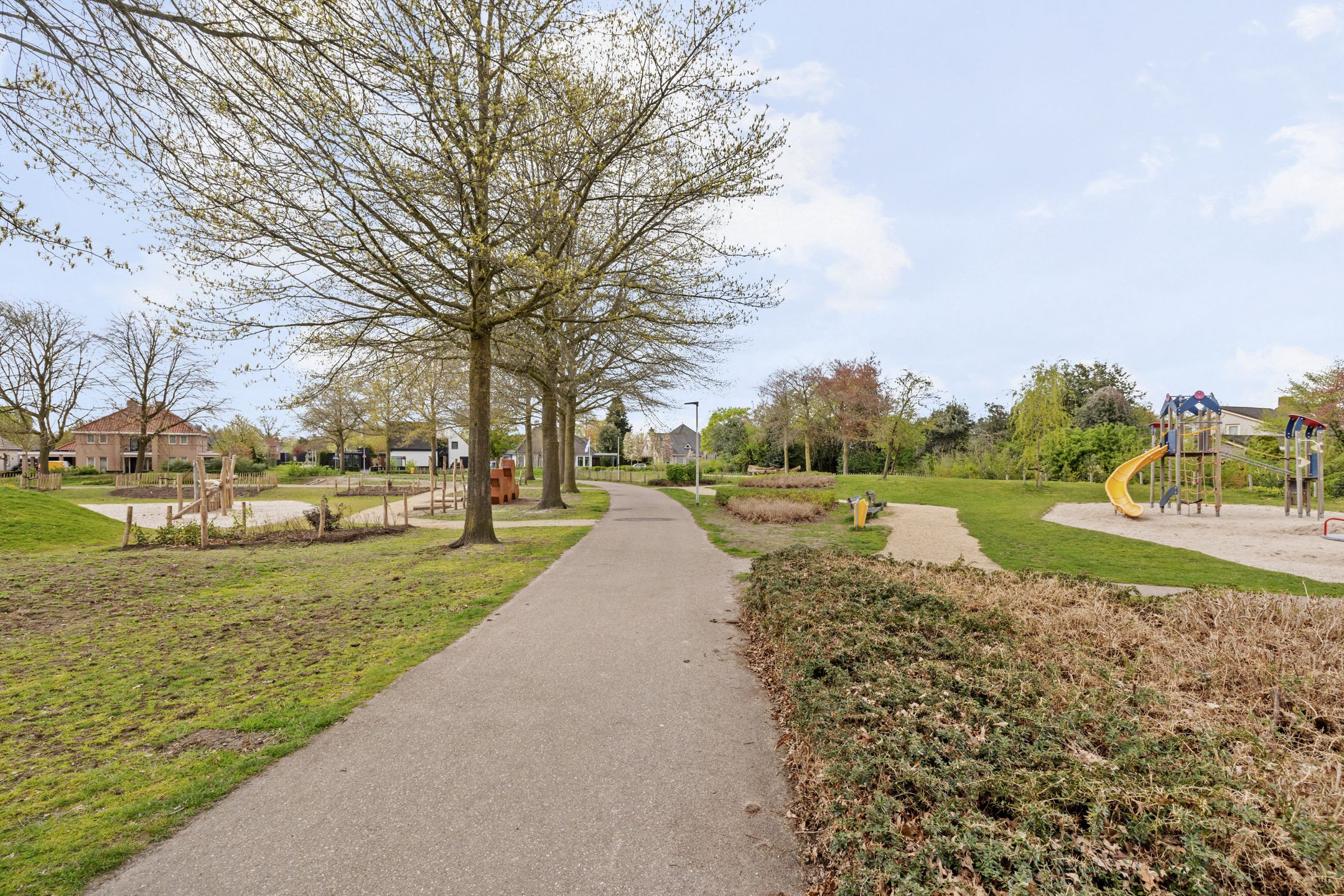 Photo 42 of Drecht 11