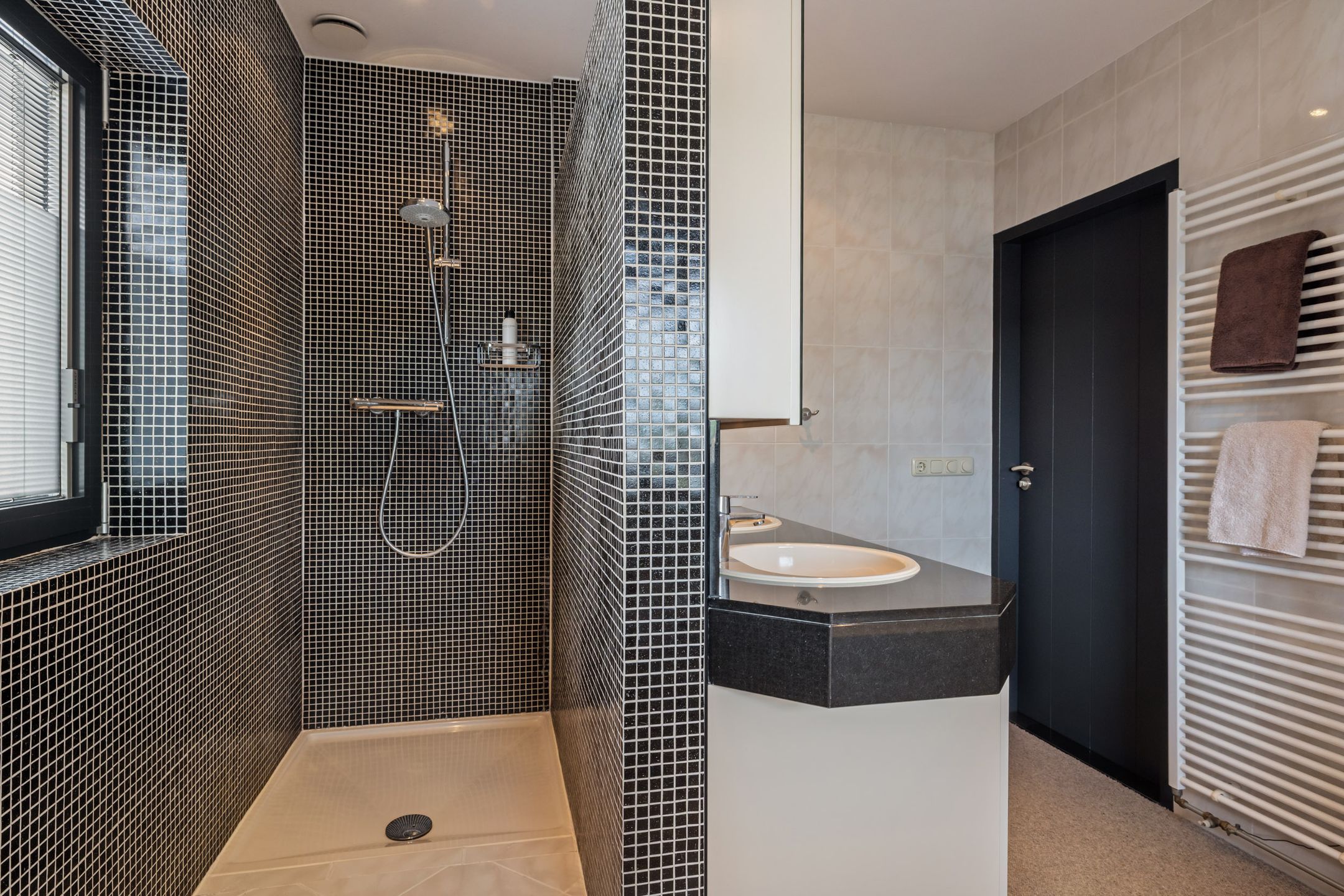 Photo 30 of Drecht 11