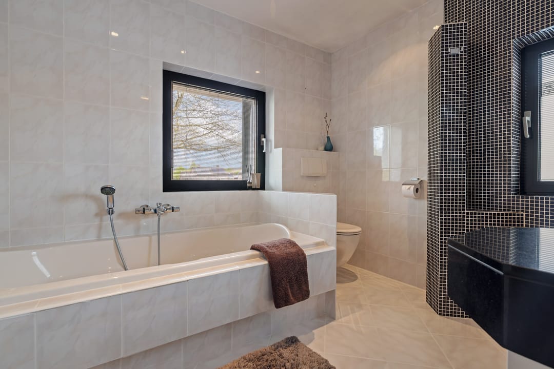 Photo 32 of Drecht 11