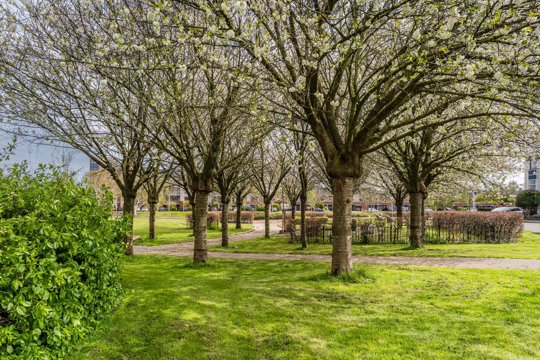 Foto 54 van Rustenburgpark 47