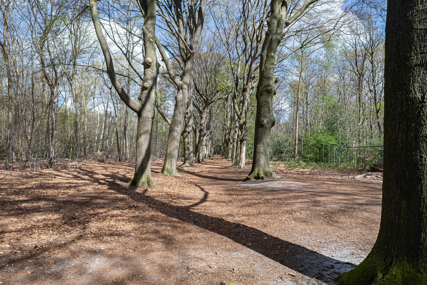 Foto 49 van Vliegtuiglaan 4