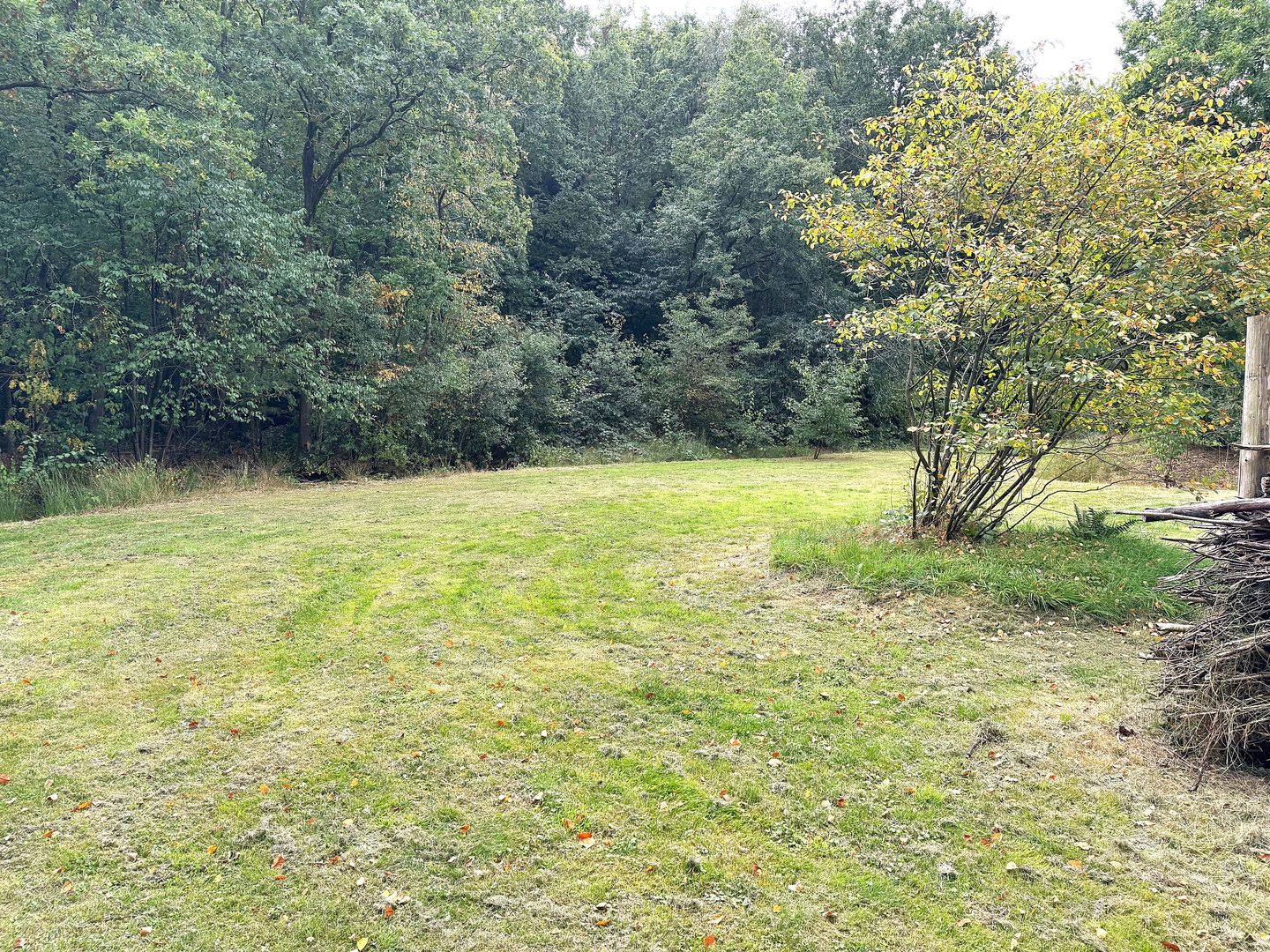 Foto 20 van Oude Benderseweg 11-542