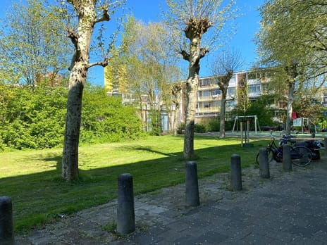 2e Eeldepad thumbnail