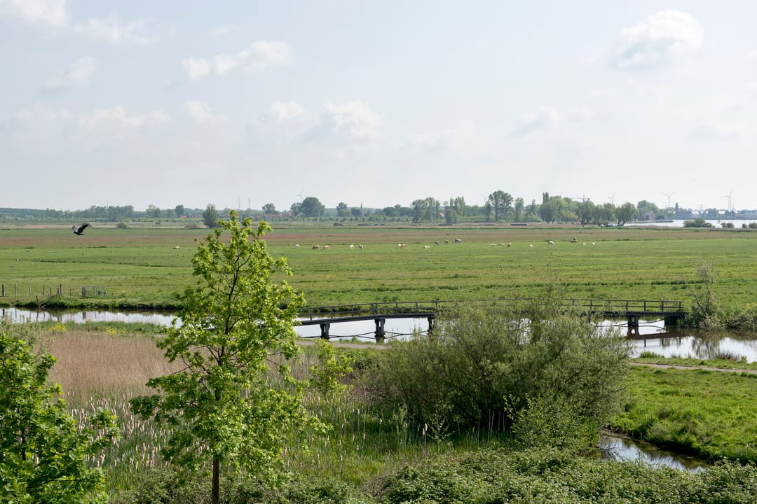 Photo 37 of Botterboulevard 50