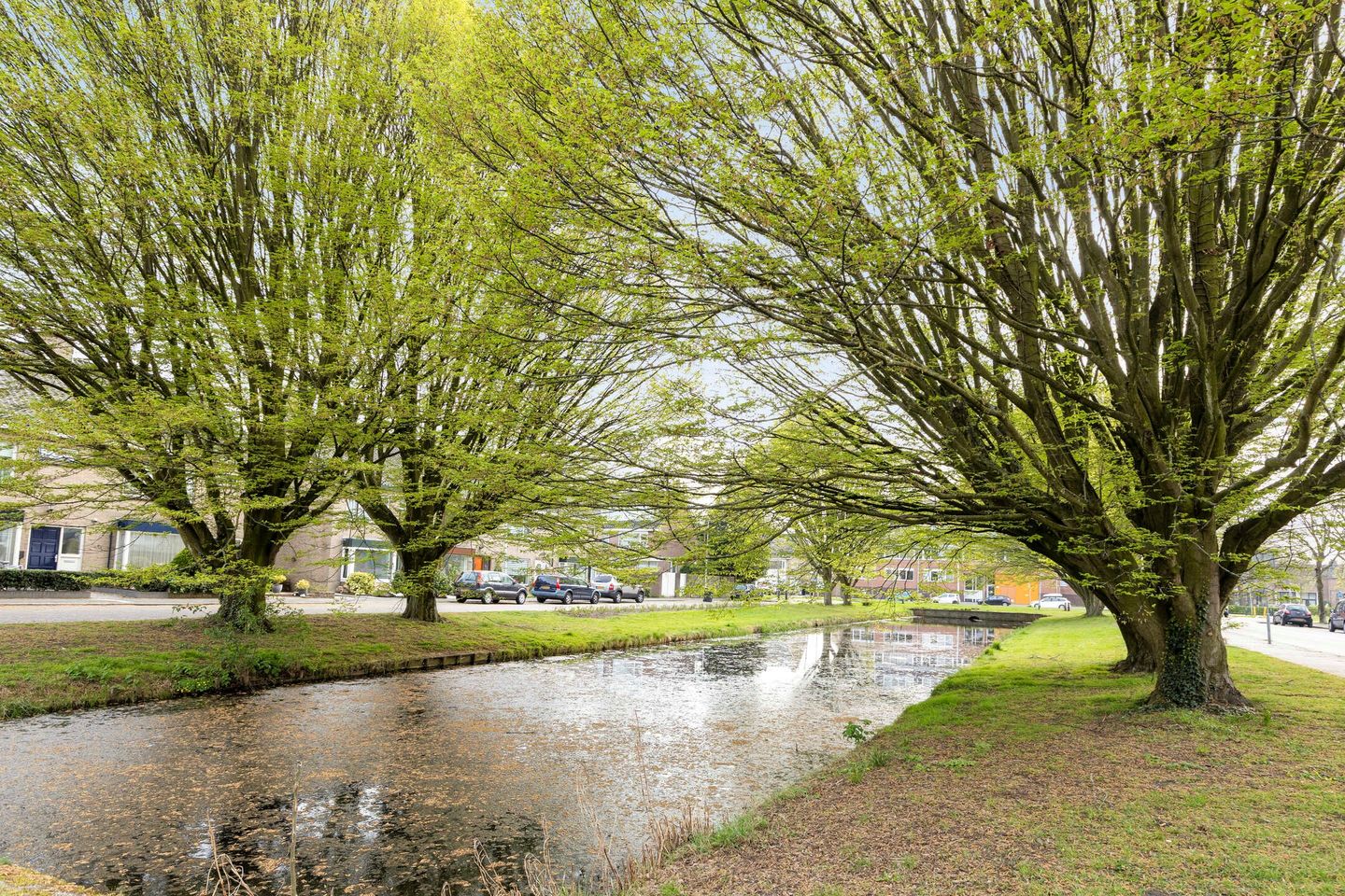 Foto 44 van Splinterlaan 174