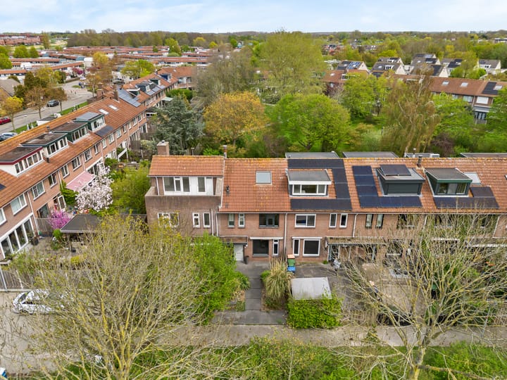 Foto 4 van Galjoen 10 38