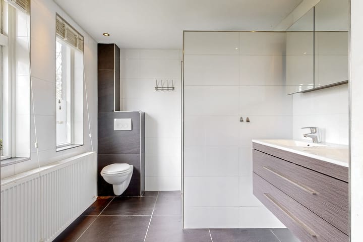 Foto 3 van Galjoen 10 38