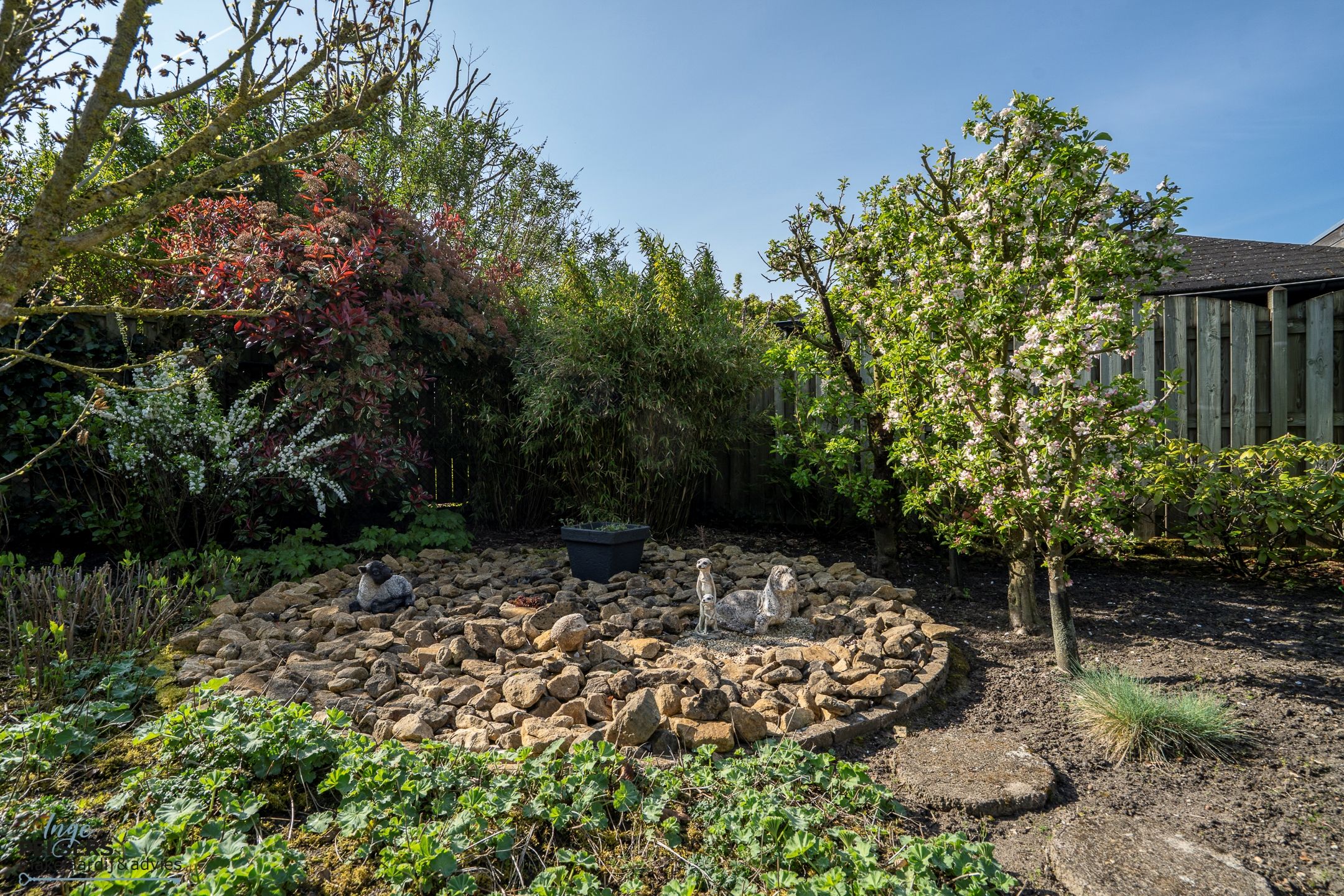 Photo 30 of Dreessencampstraat 22