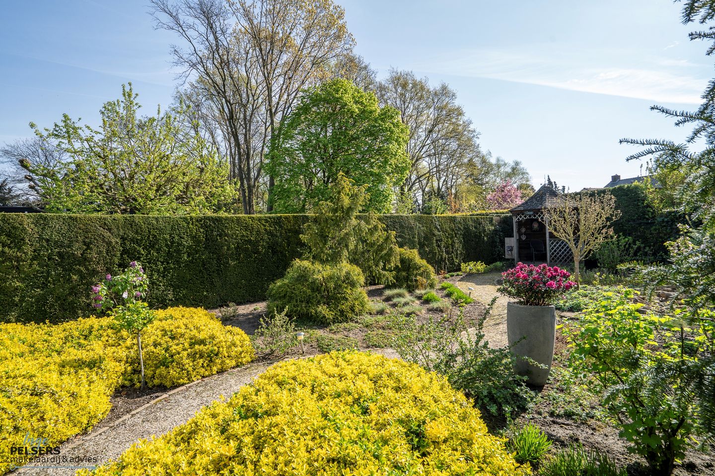 Photo 34 of Dreessencampstraat 22