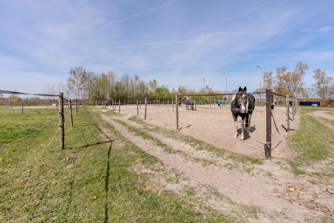 Photo 68 of De Luttergreppel 21