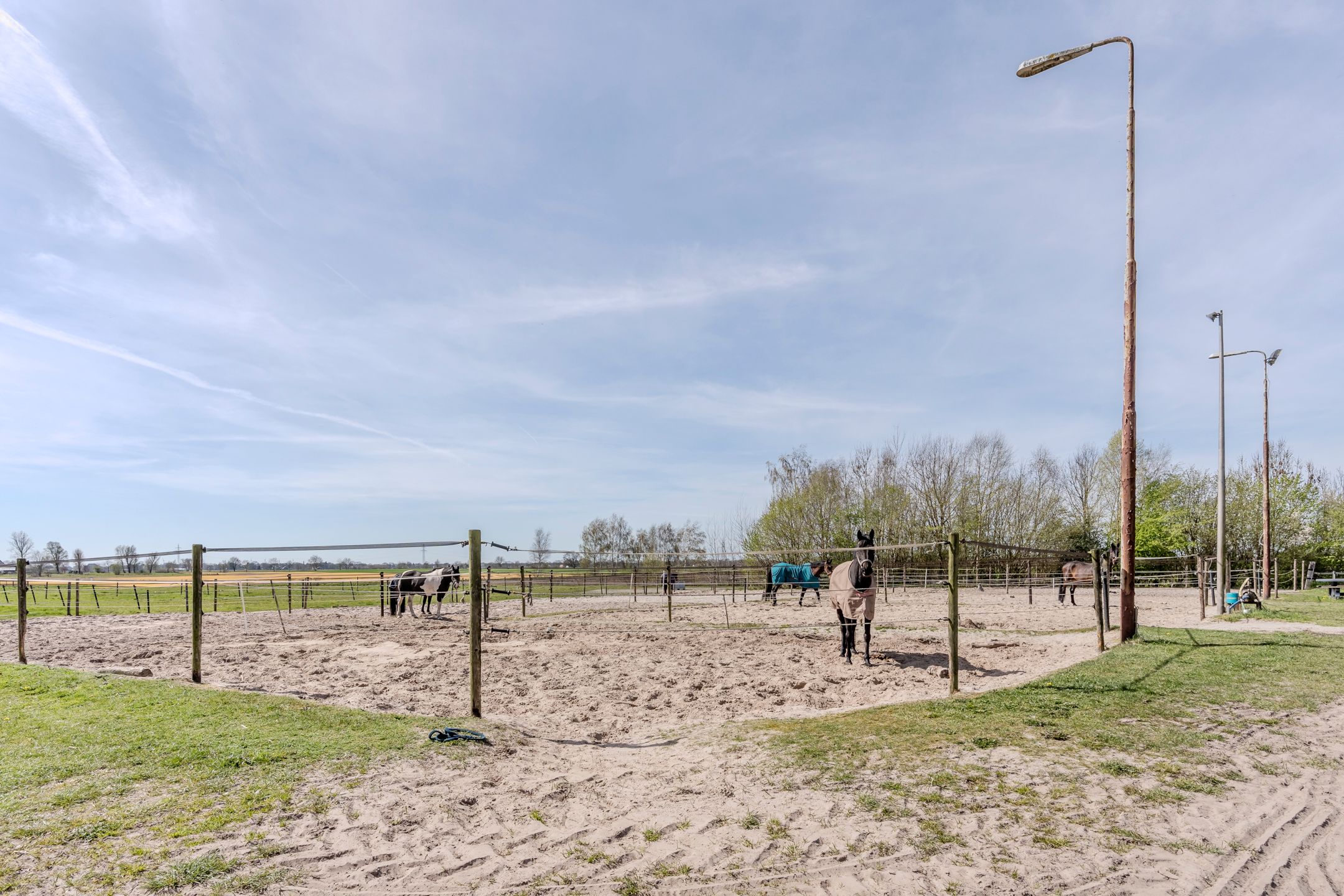 Photo 66 of De Luttergreppel 21