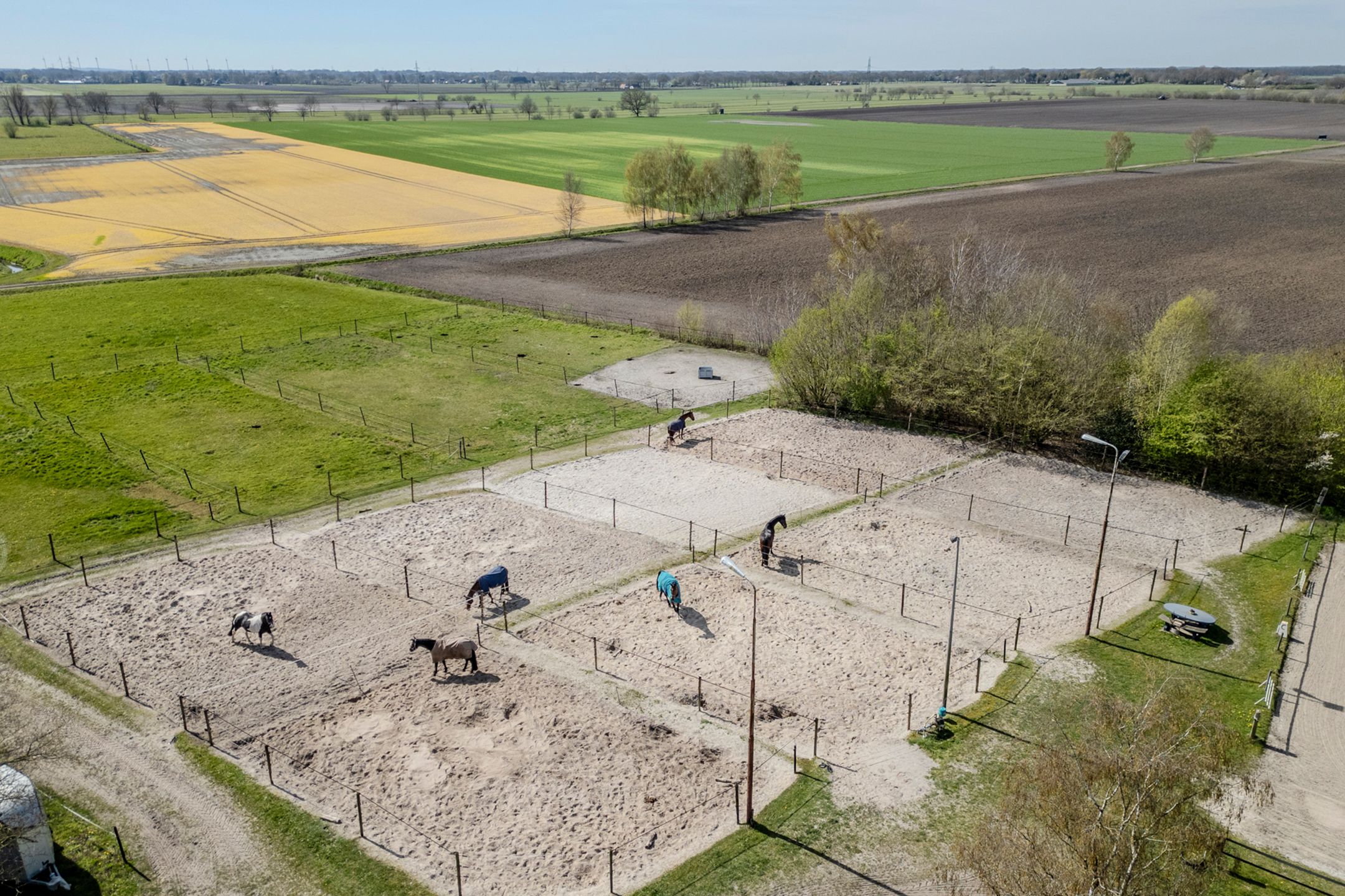 Photo 75 of De Luttergreppel 21