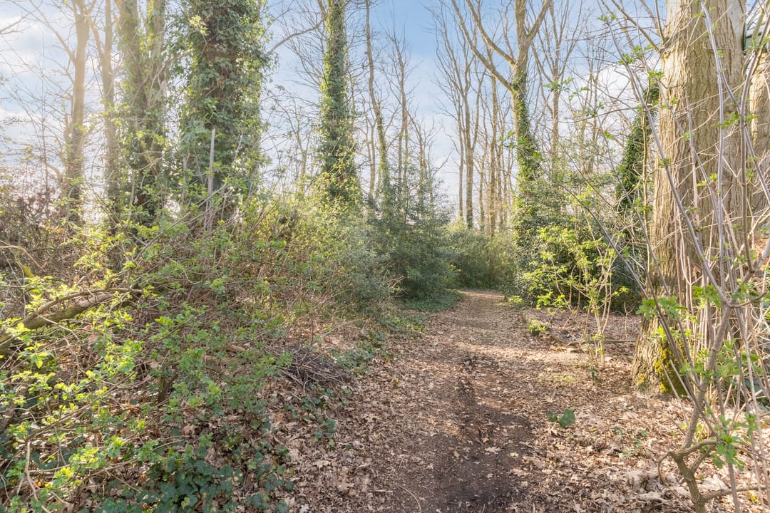 Foto 68 van Schadewijkstraat 34