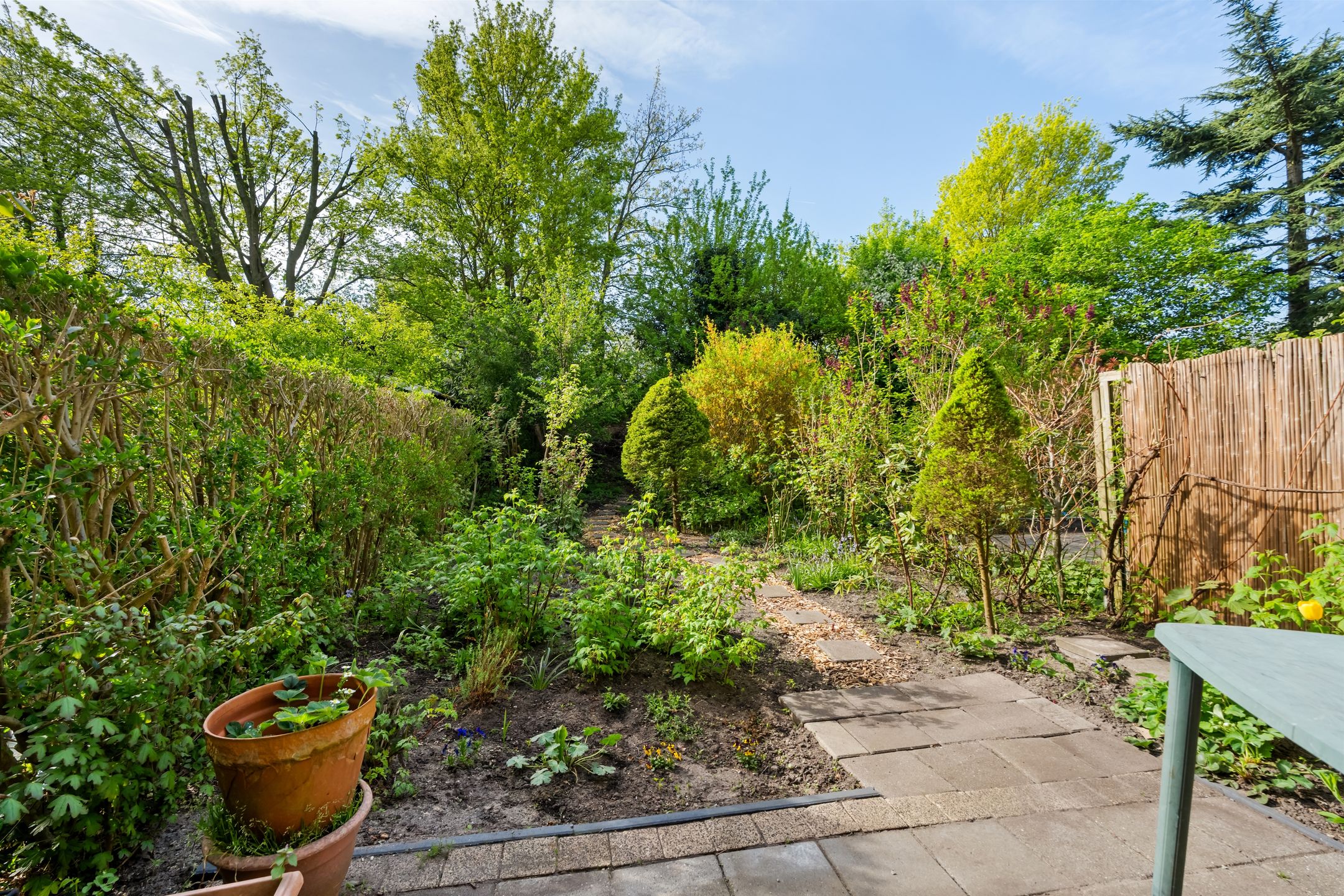 Foto 6 van Parkhof 81