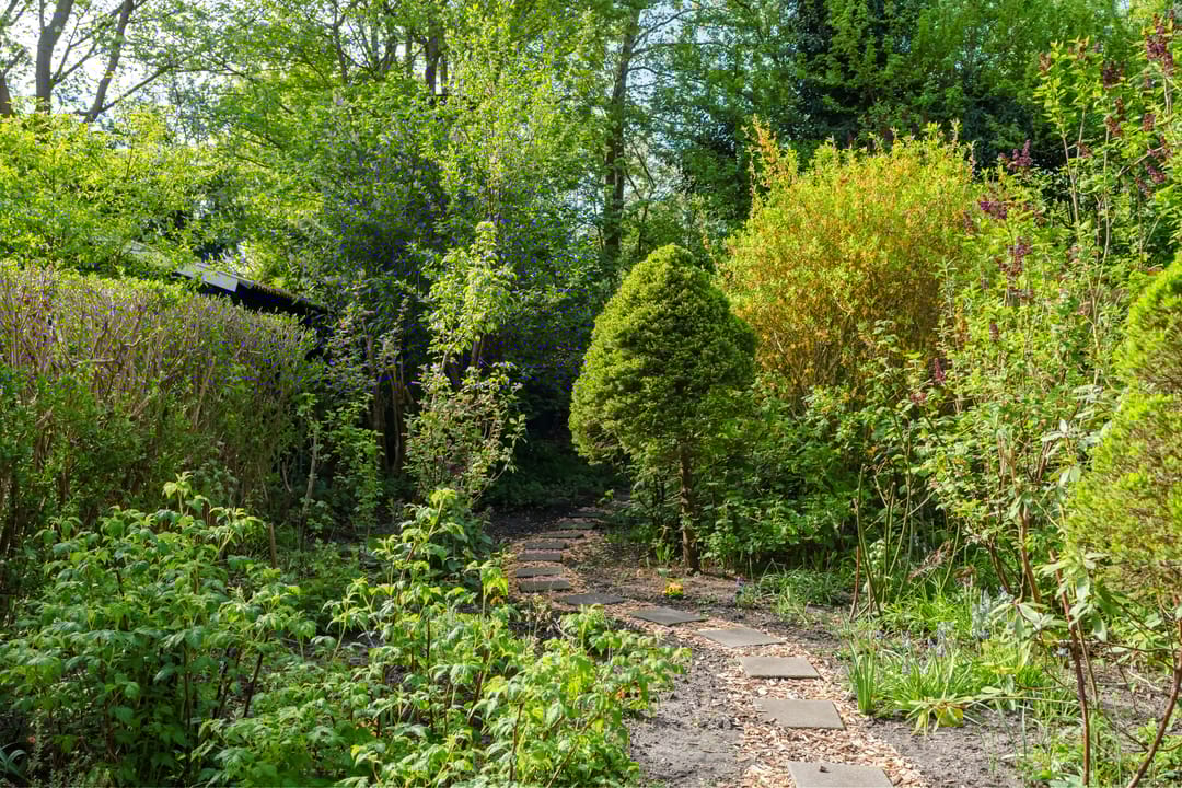 Foto 7 van Parkhof 81