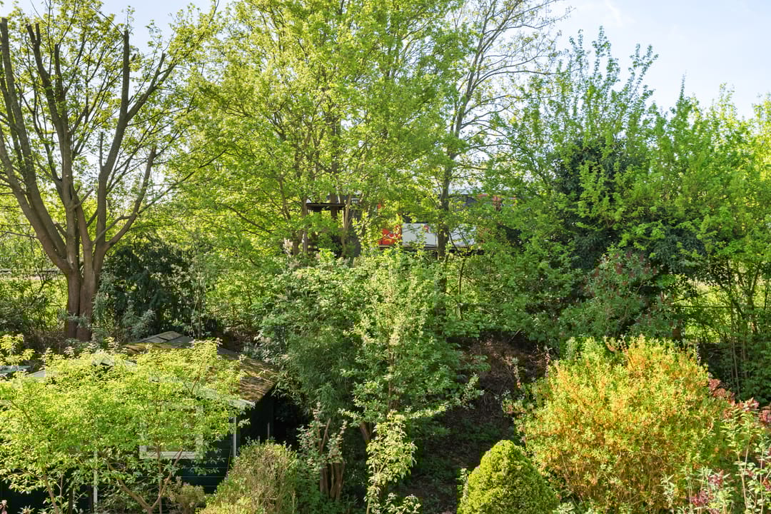 Foto 8 van Parkhof 81