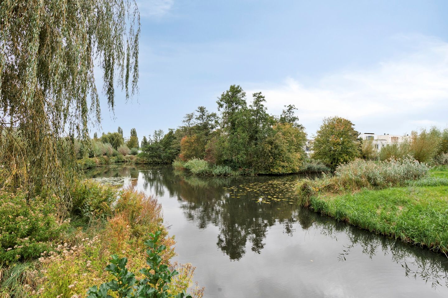 Foto 49 van Parkhof 81