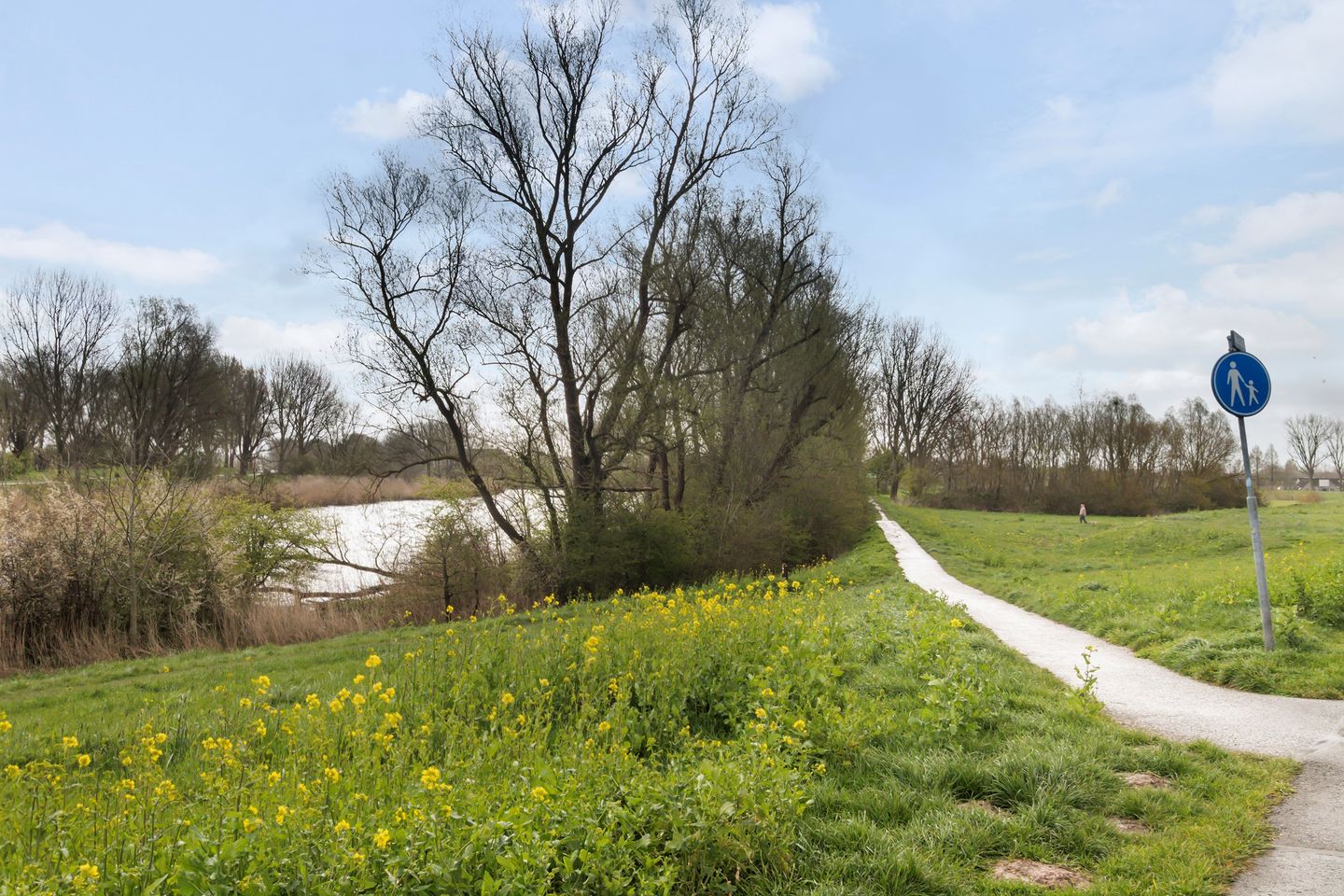 Photo 25 of Balsa 130