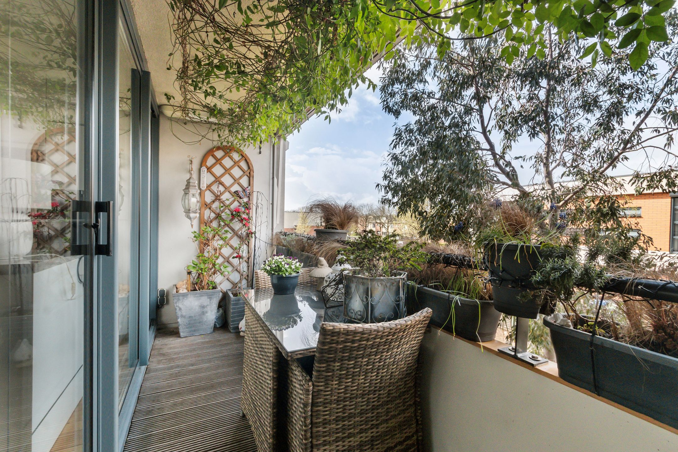 Photo 15 of Balsa 130