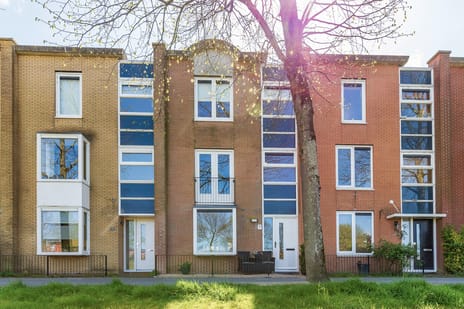 Vivaldisingel thumbnail