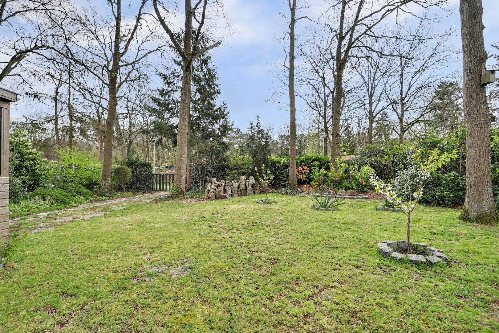 Foto 27 van Dennenlaan 17