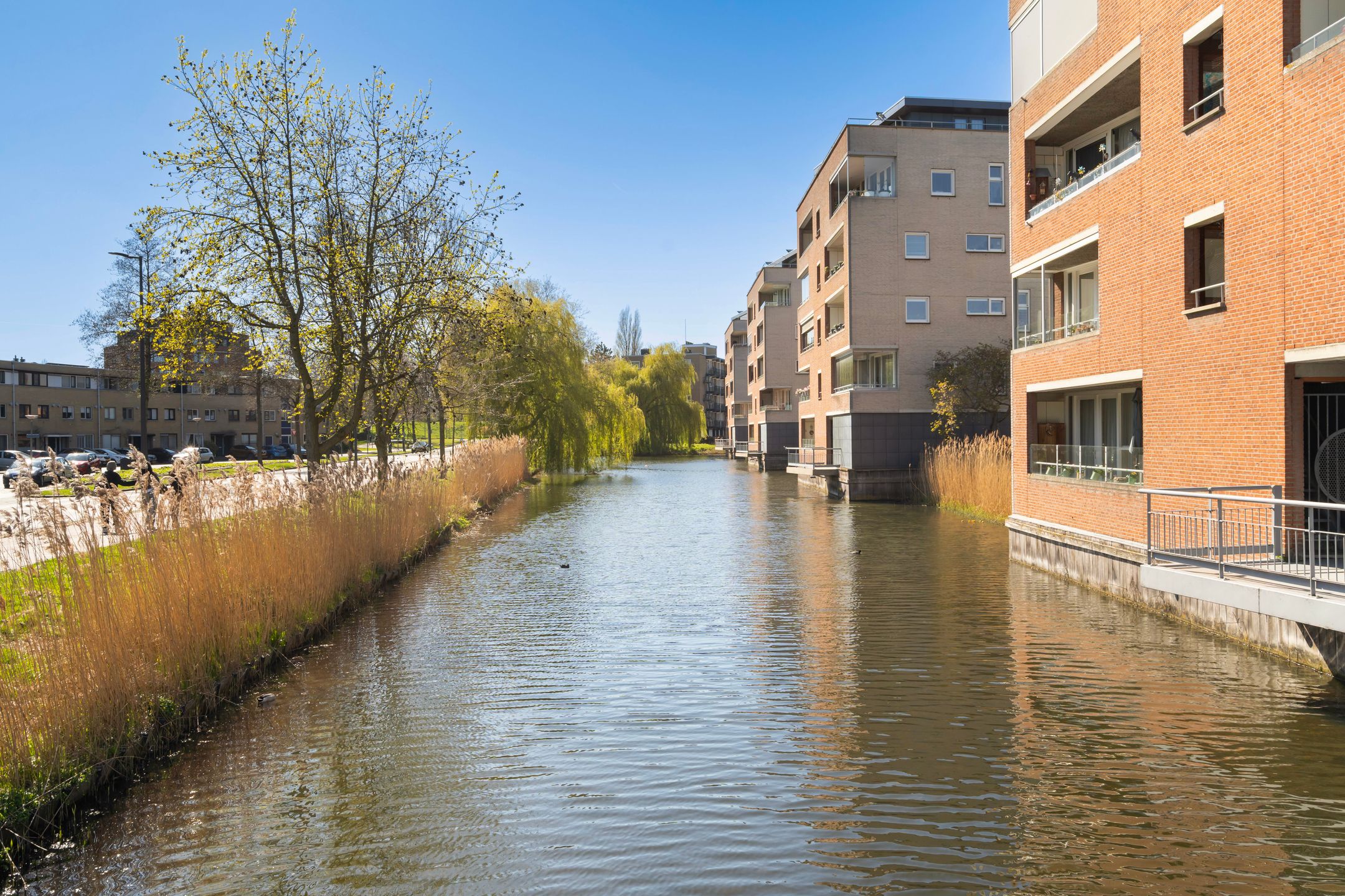 Photo 36 of Hartmansstraat 17