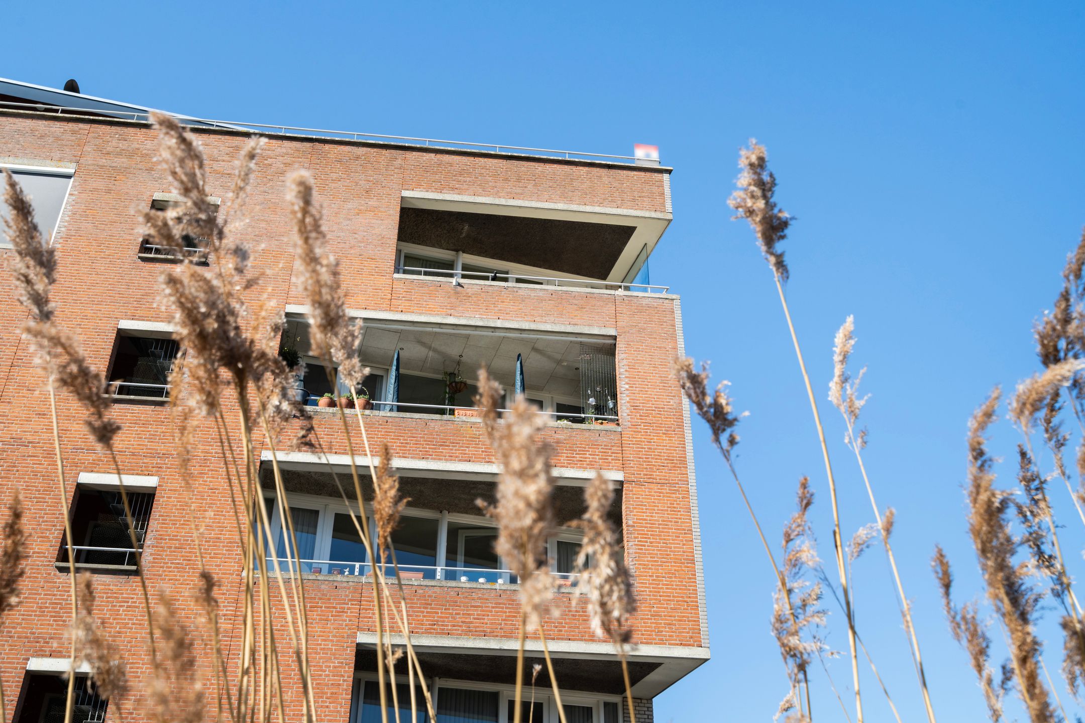 Photo 39 of Hartmansstraat 17