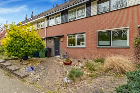 Fideliostraat thumbnail