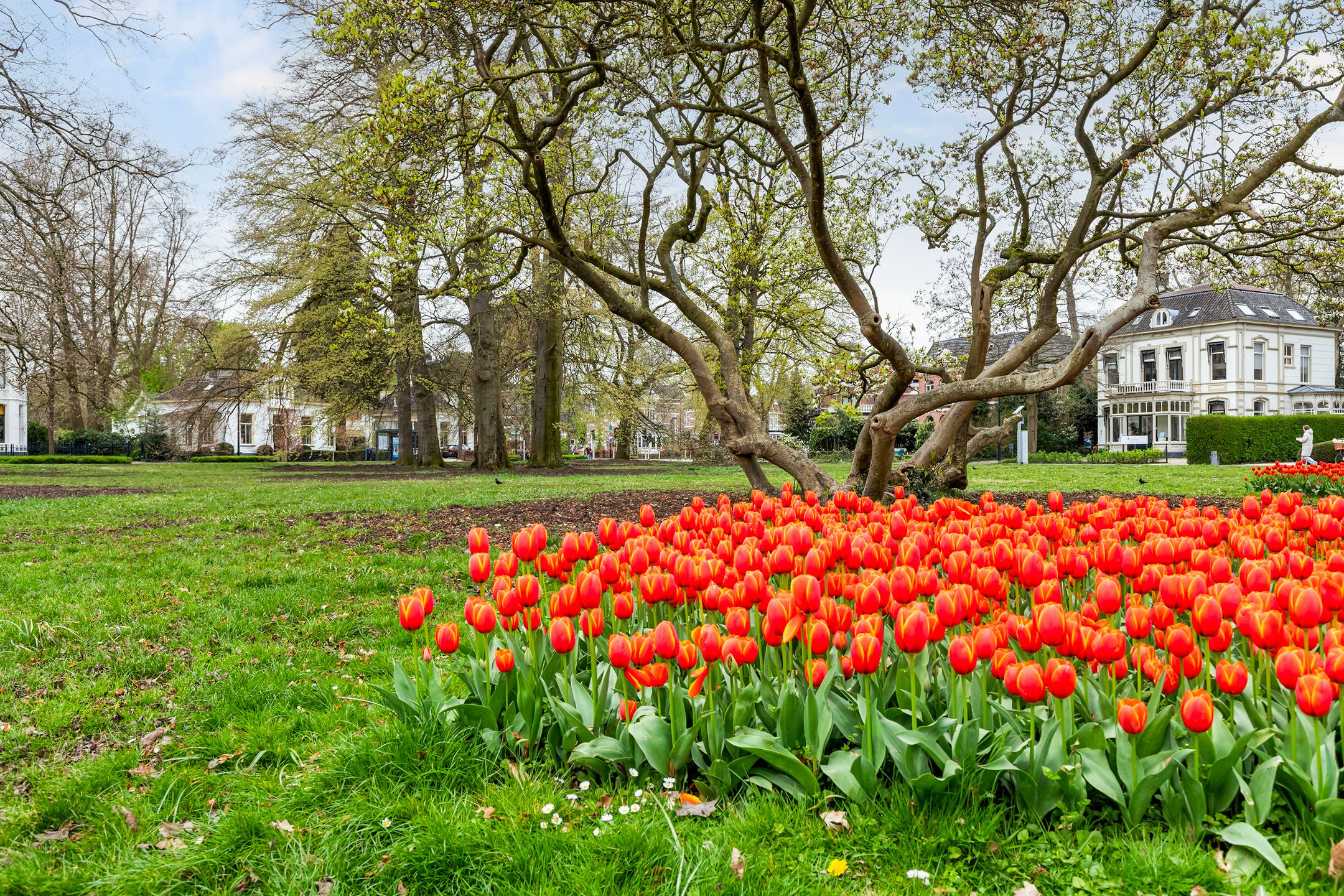 Foto 72 van Kerklaan 49