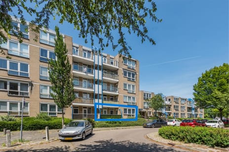 Mari Andriessenrade thumbnail