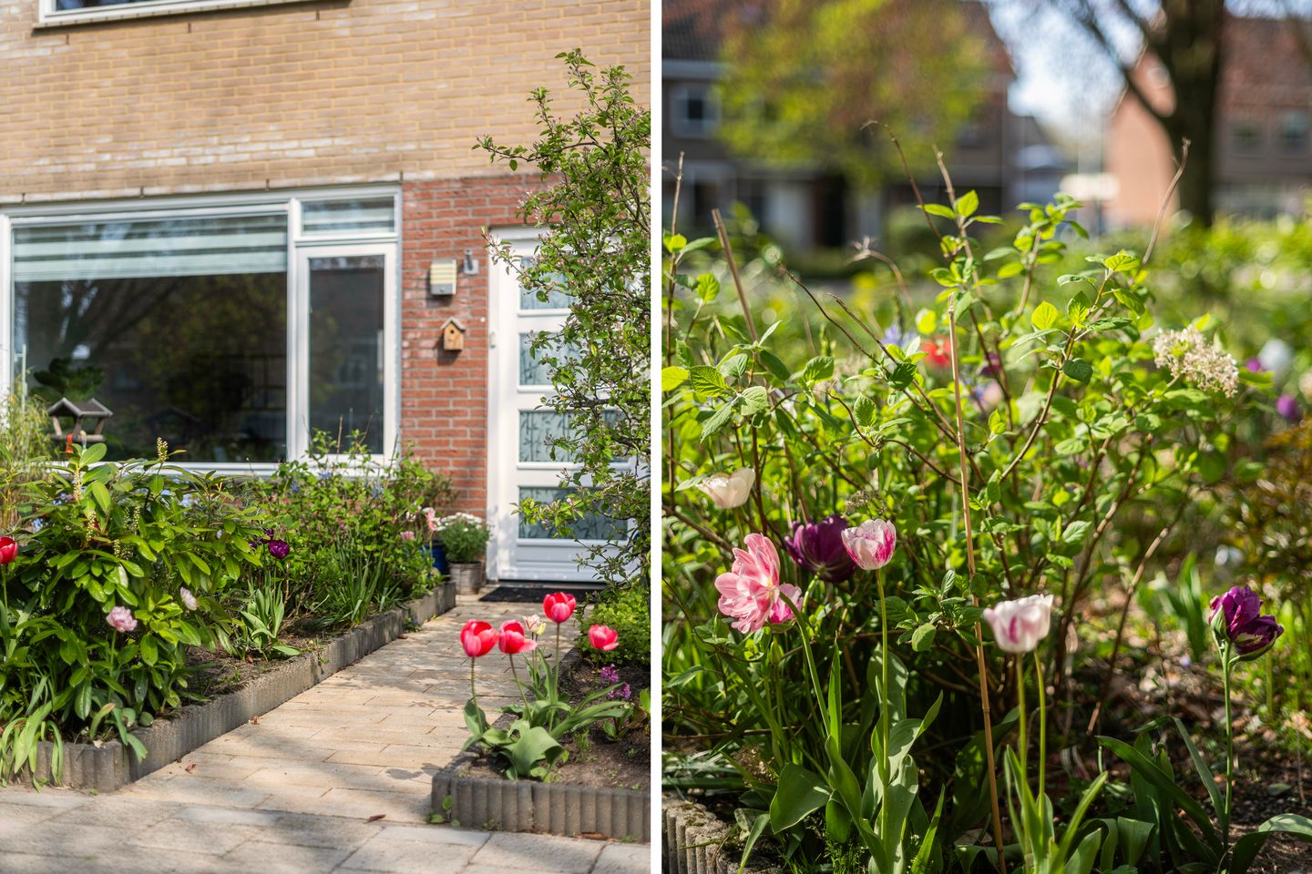 Foto 5 van Camerlinkstraat 14